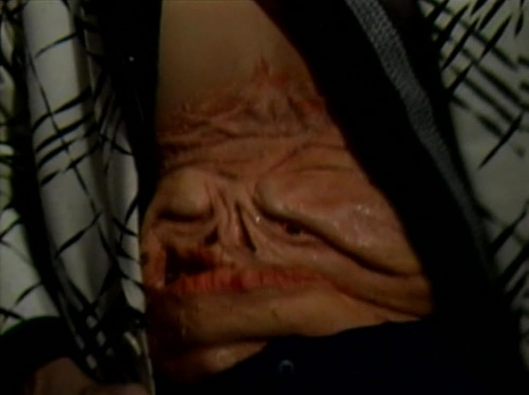 Imagen de guinea-pig-4-devil-doctor-woman