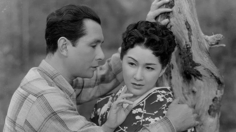 Imagen de Sonido en la Niebla