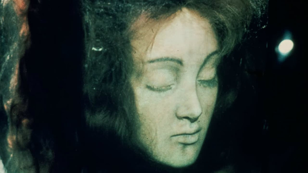 Imagen de Frankenstein: Su Verdadera Historia