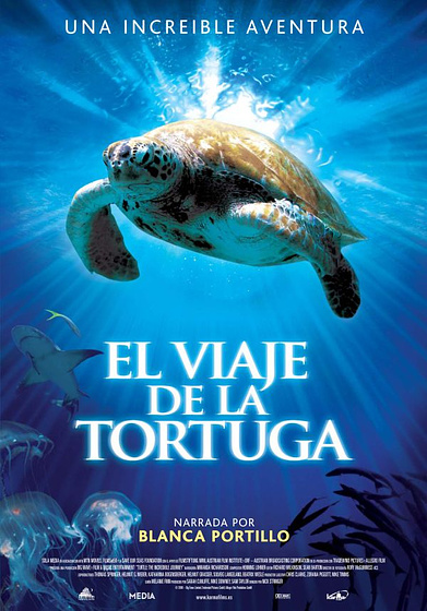 Imagen de El Viaje de la tortuga (Cartel)