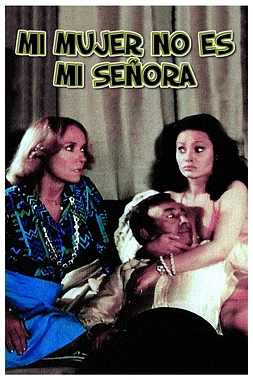 poster of movie Mi Marido no Funciona