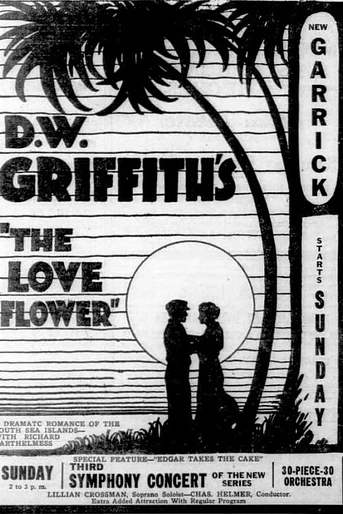 Poster de Flor de Amor