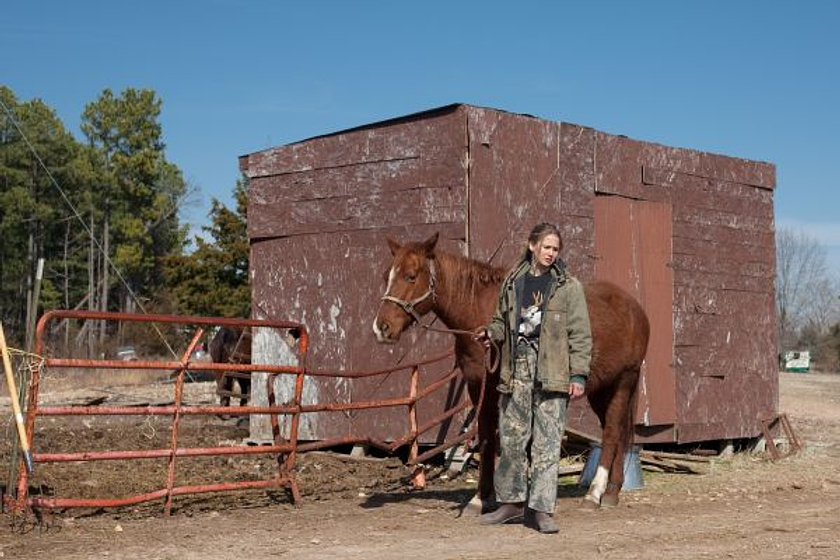 still of movie Winter's Bone