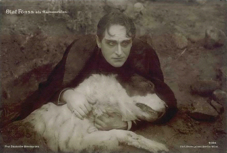 Imagen de Homunculus, 2. Teil: Das geheimnisvolle Buch