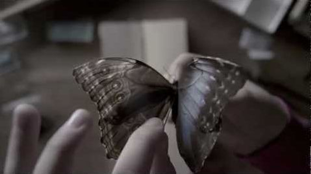 Imagen de The Butterfly Room