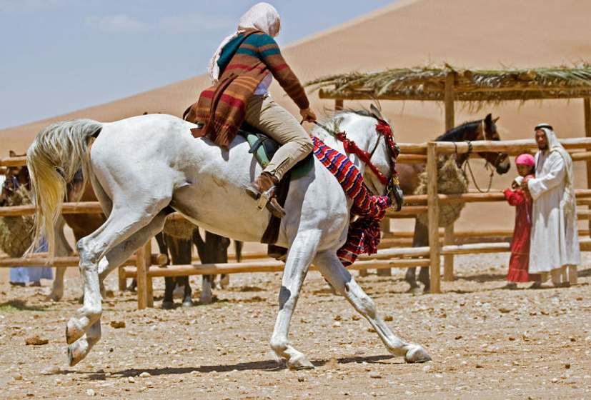 Imagen de Susurros en el Desierto