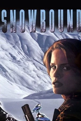 Poster de Atrapadas en la Nieve