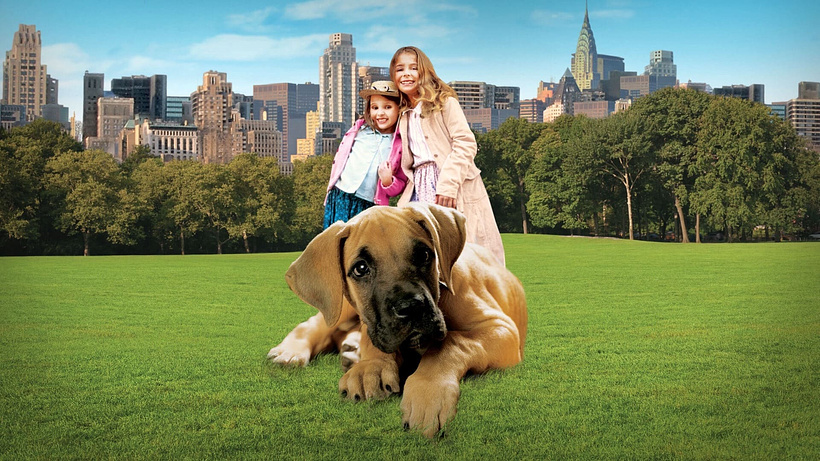 Imagen de Chestnut, el Héroe de Central Park