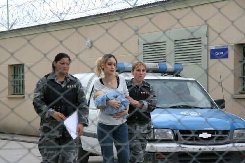 Imagen de leonera