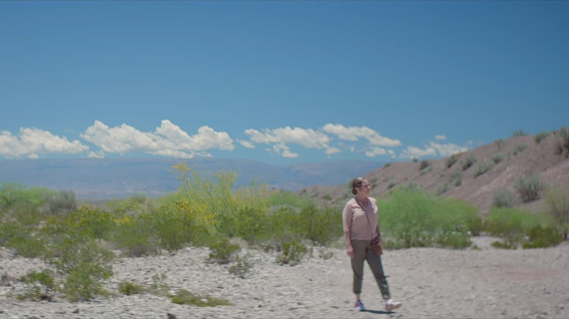Imagen de La Novia del Desierto