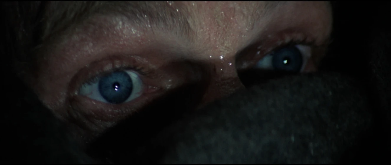 Imagen de Papillon