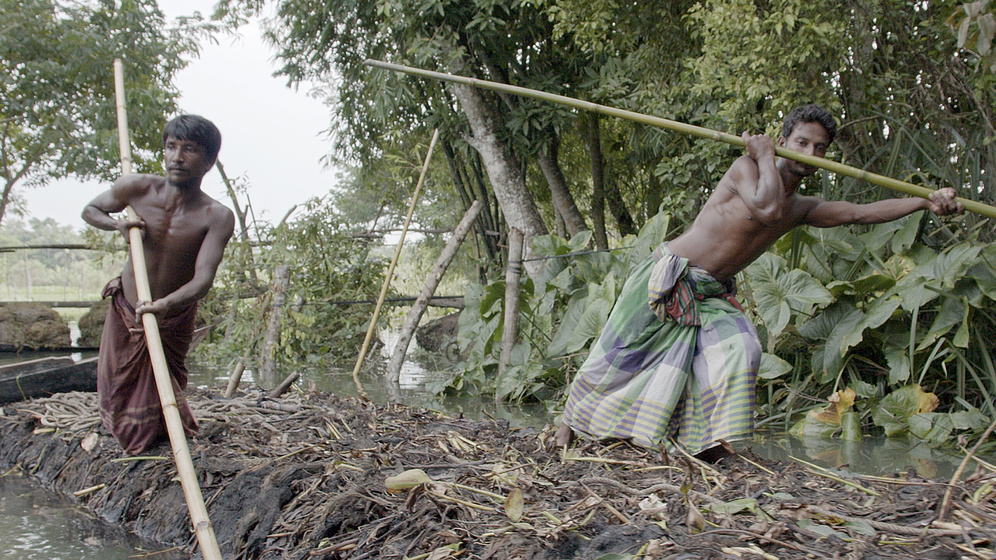 Imagen de elements-of-f-balance