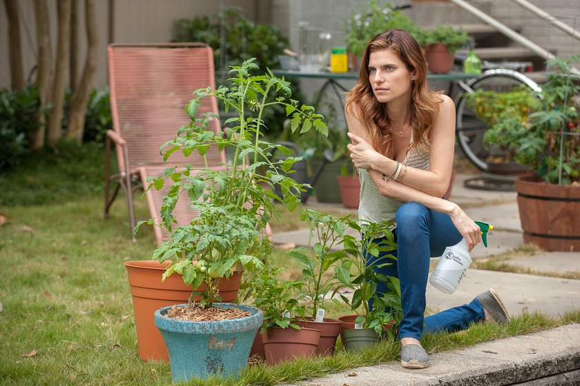 Lake Bell en El Chico del millón de dólares