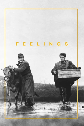 Poster de Feelings