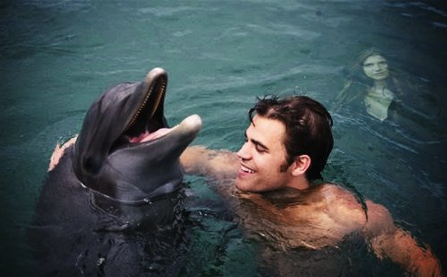 Paul Wesley en Bajo el Gran Azul