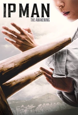 poster of movie Ip Man: The Awakening