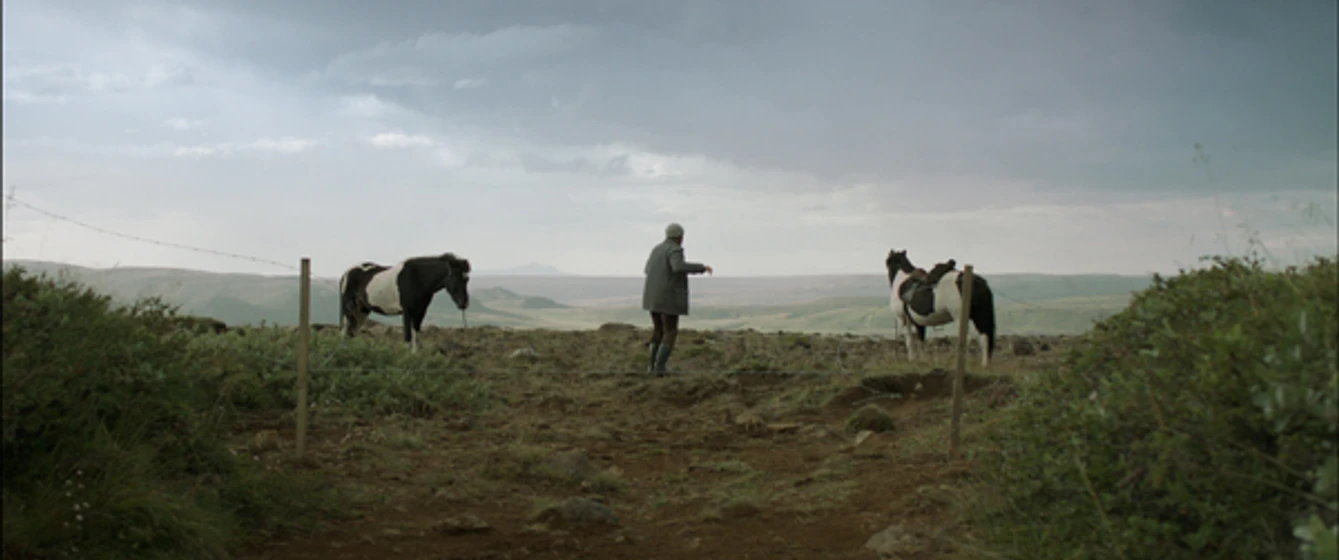 Imagen de de-caballos-y-hombres