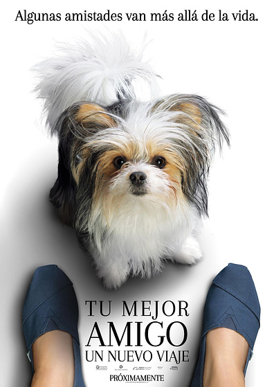 Imagen de Tu Mejor Amigo: un Nuevo Viaje (Cartel teaser español)