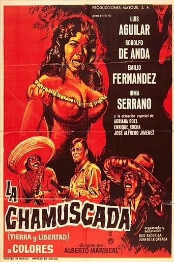 Poster de La Chamuscada