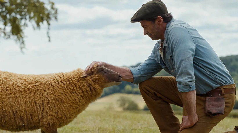 Imagen de Las Ovejas Detectives