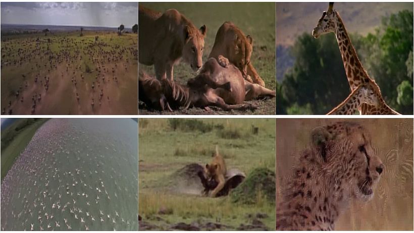 Imagen de África: el Serengeti