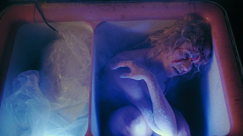 Imagen de Night Caller