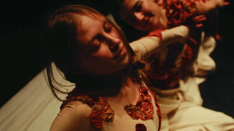 Imagen de Match in a Haystack