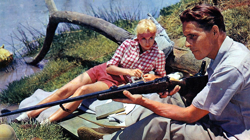 Imagen de Safari