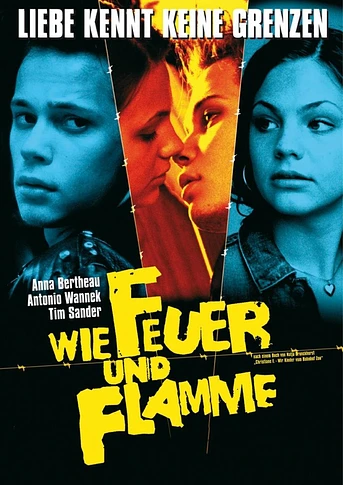 Poster de Never Mind the Wall