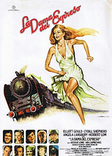 poster of movie La Dama del expreso