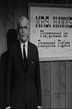 The Remarkable Mrs. Hawk