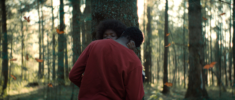 Imagen de El Jardín que Soñamos