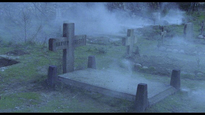 Imagen de El Extraño Amor de los Vampiros