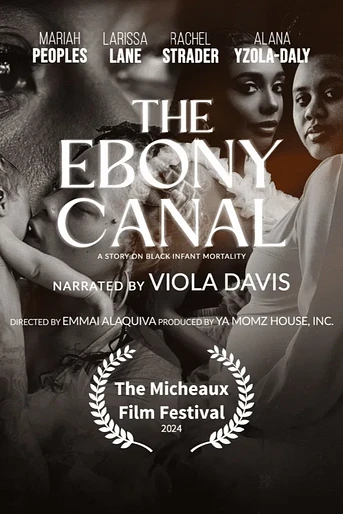Poster de The Ebony Canal: A Story of Black Infant Mortality