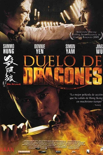Poster de Duelo de Dragones