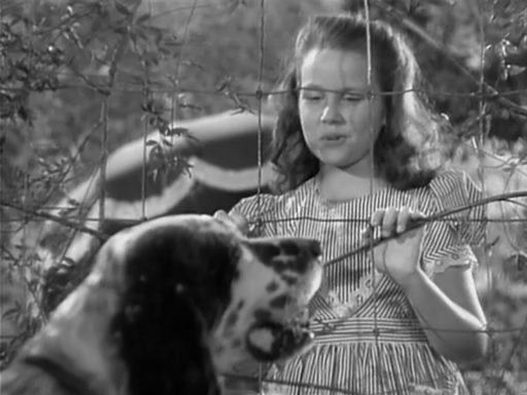Sharyn Moffett y Banjo en Banjo