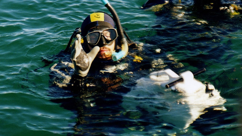 Imagen de El Fondo del Mar