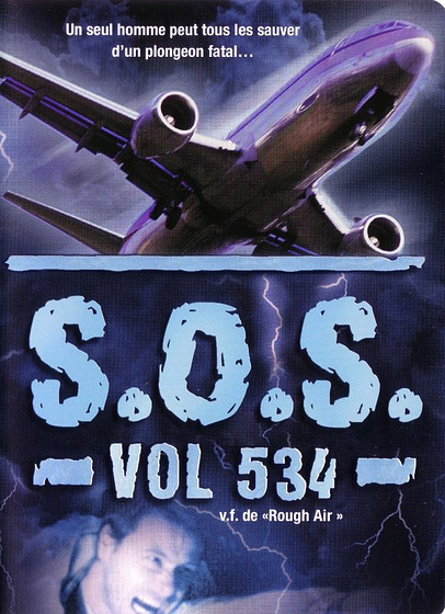 Imagen de Pánico en el Vuelo 534 (Poster)