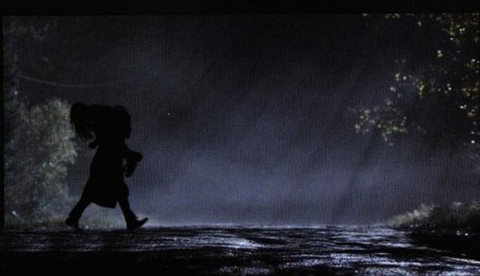 Imagen de El Hombre de las sombras