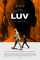 poster of movie LUV