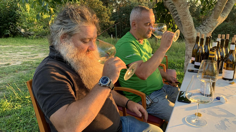 Imagen de El Mago del Vino