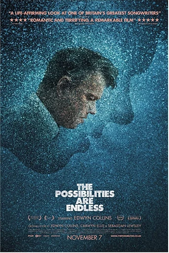 Poster de The Possibilities Are Endless