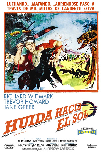 Poster de Huida hacia el sol