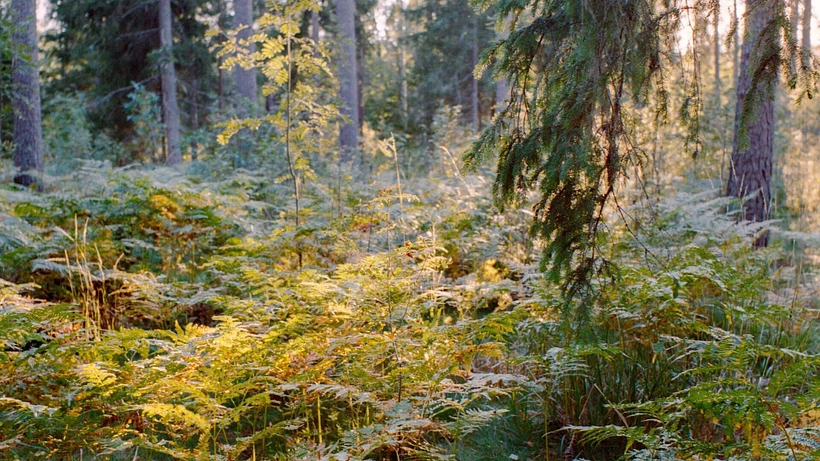 Imagen de Come Sit With us