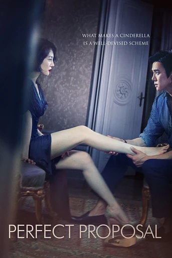 Poster de Perfect Proposal