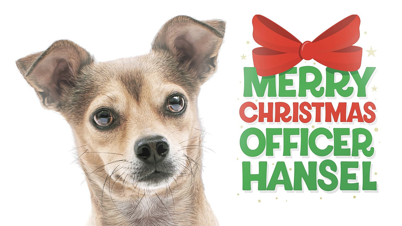 Imagen de Merry Christmas Officer Hansel
