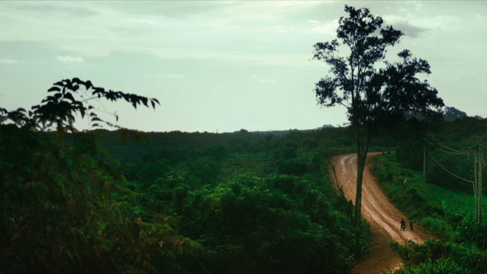 Imagen de homo-sive-natura