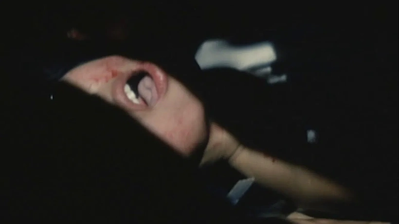 Imagen de Wolf: Running Is Sex