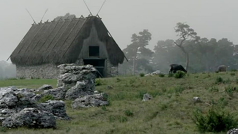 Imagen de La Isla de Bergman