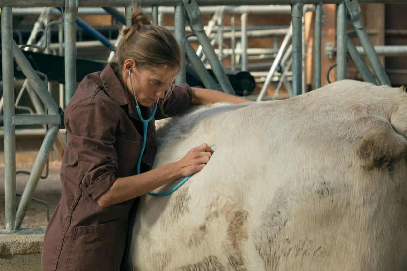 Noémie Schmidt en una-veterinaria-en-la-borgona